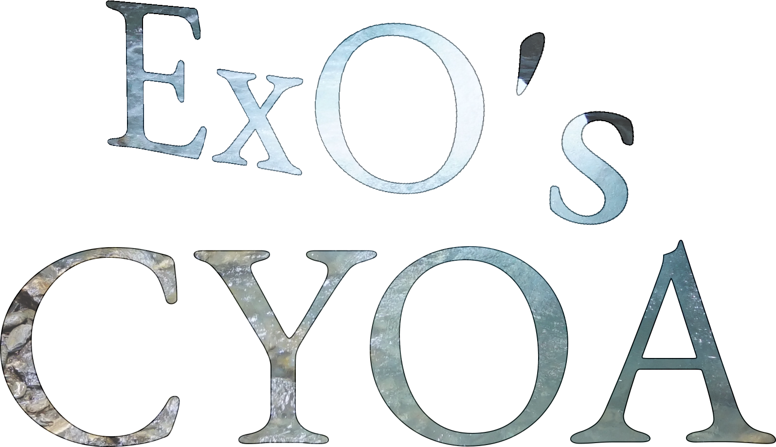 Exo's CYOA